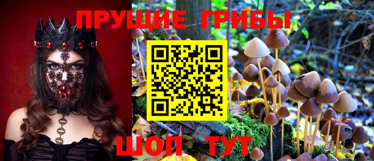 Галлюциногенные грибы MAGIC MUSHROOMS  Вход с VPN  цены наркотик  Чусовой  Псилоцибиновые грибы MAGIC MUSHROOMS 