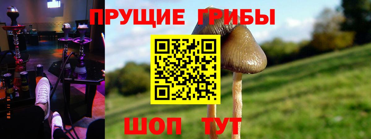 Псилоцибиновые грибы мухоморы Чусовой